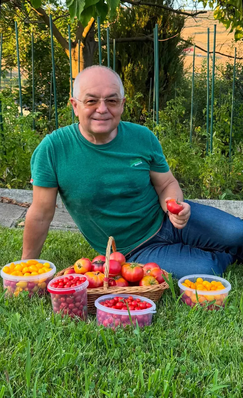 Pasiunea mai puțin cunoscută a lui Emil Boc. Primarul și-a surprins urmăritorii cu roșiile din propria grădină FOTO: Facebook