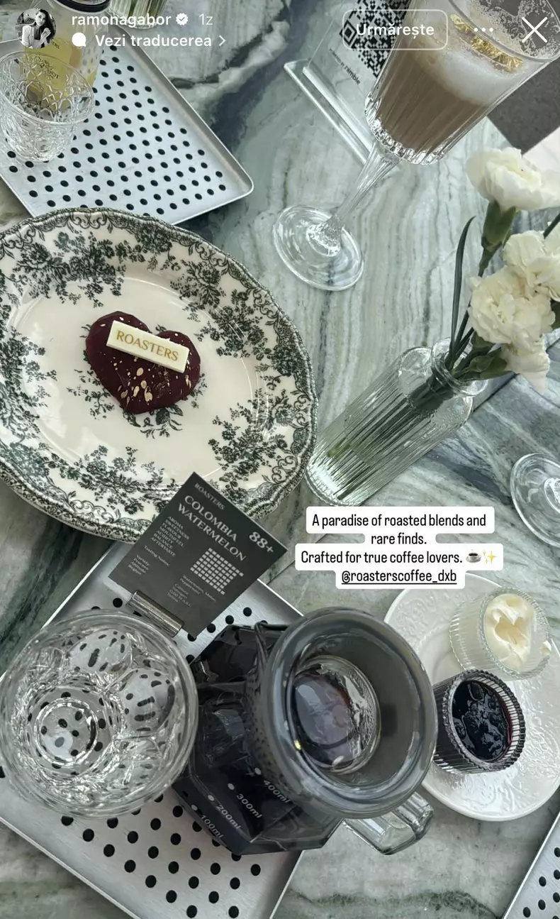 ramona si monica gabor in dubai (5)