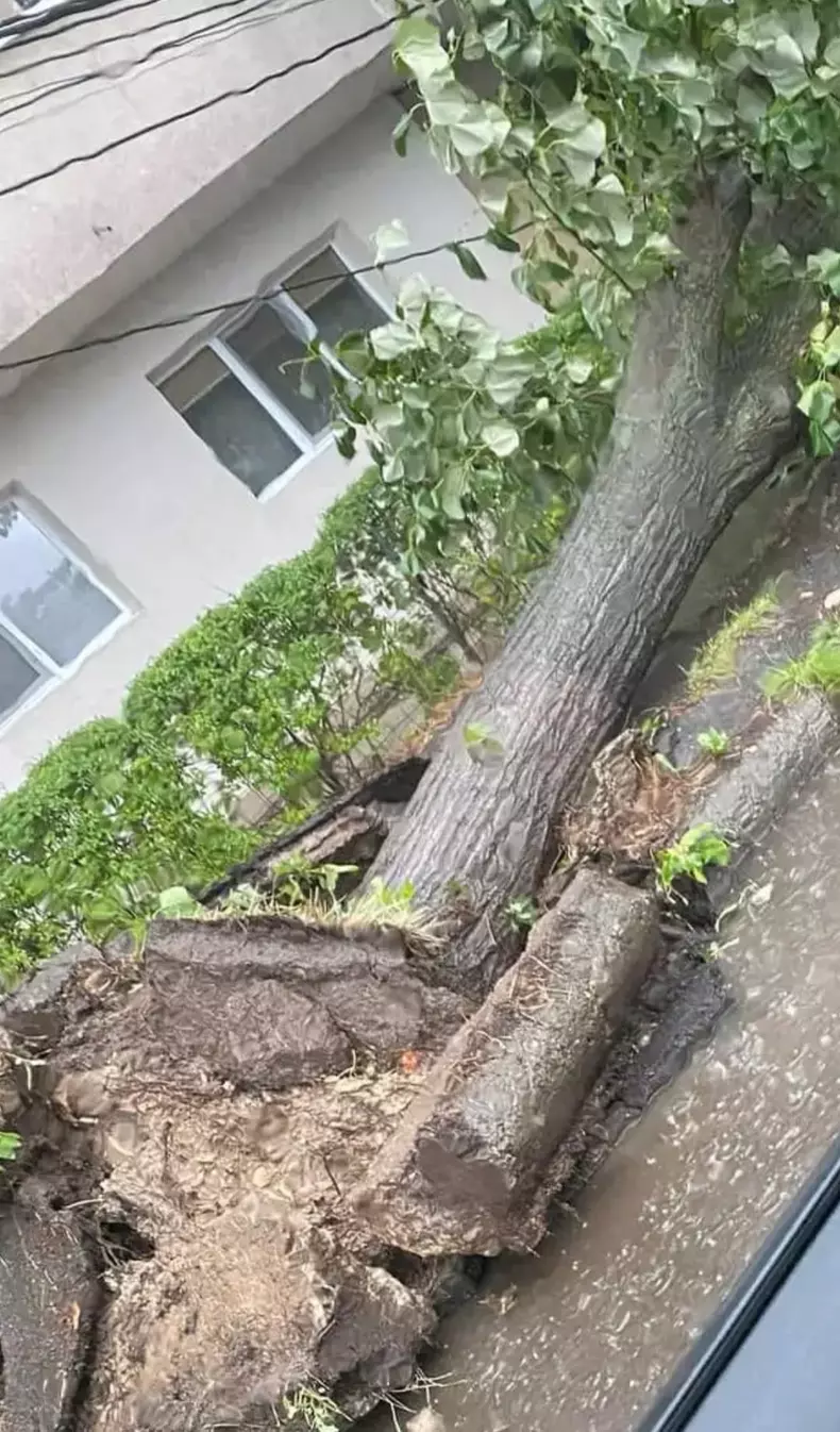 3651836806201066569223044103593798381674817n