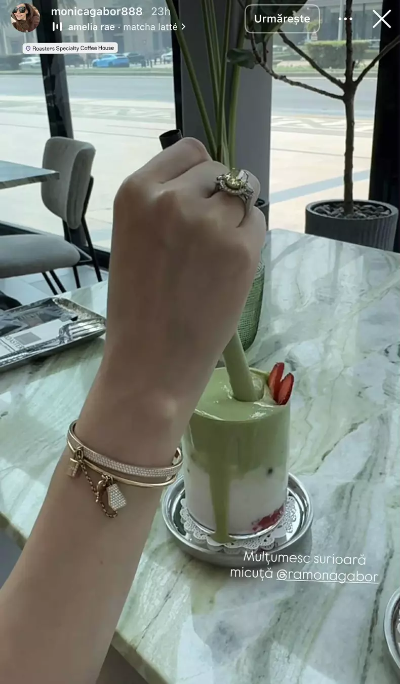 ramona si monica gabor in dubai (4)