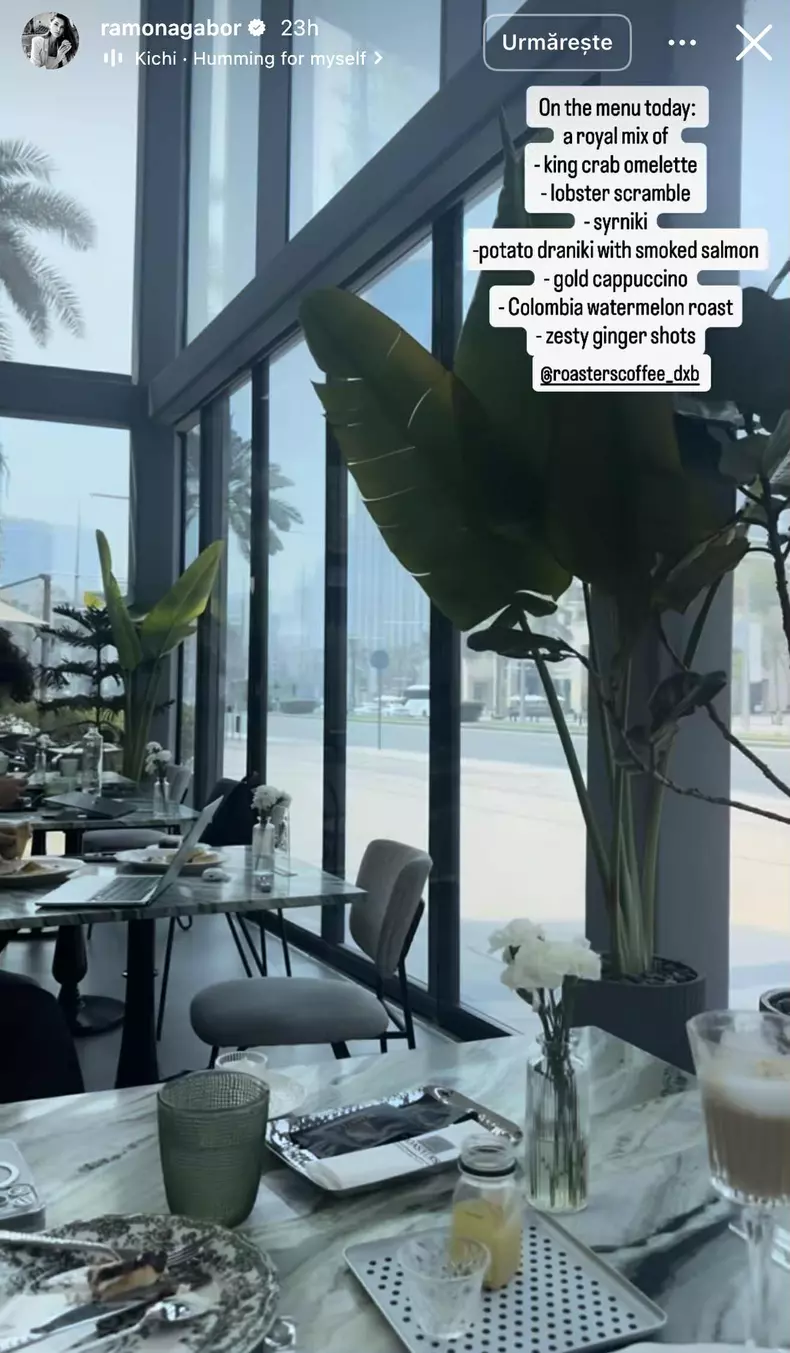 ramona si monica gabor in dubai (8)