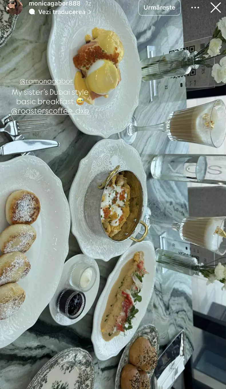 ramona si monica gabor in dubai (2)