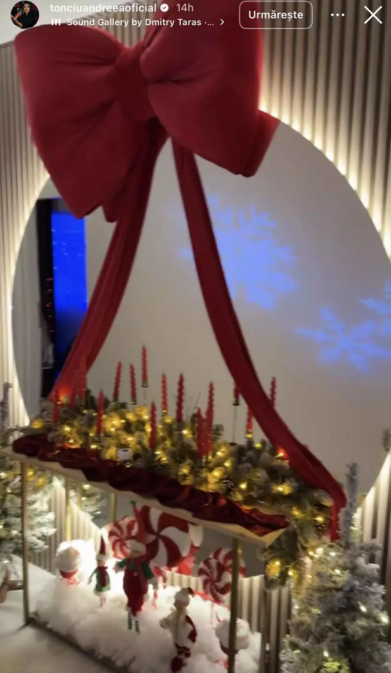 andreea tonciu casa de craciun (5)
