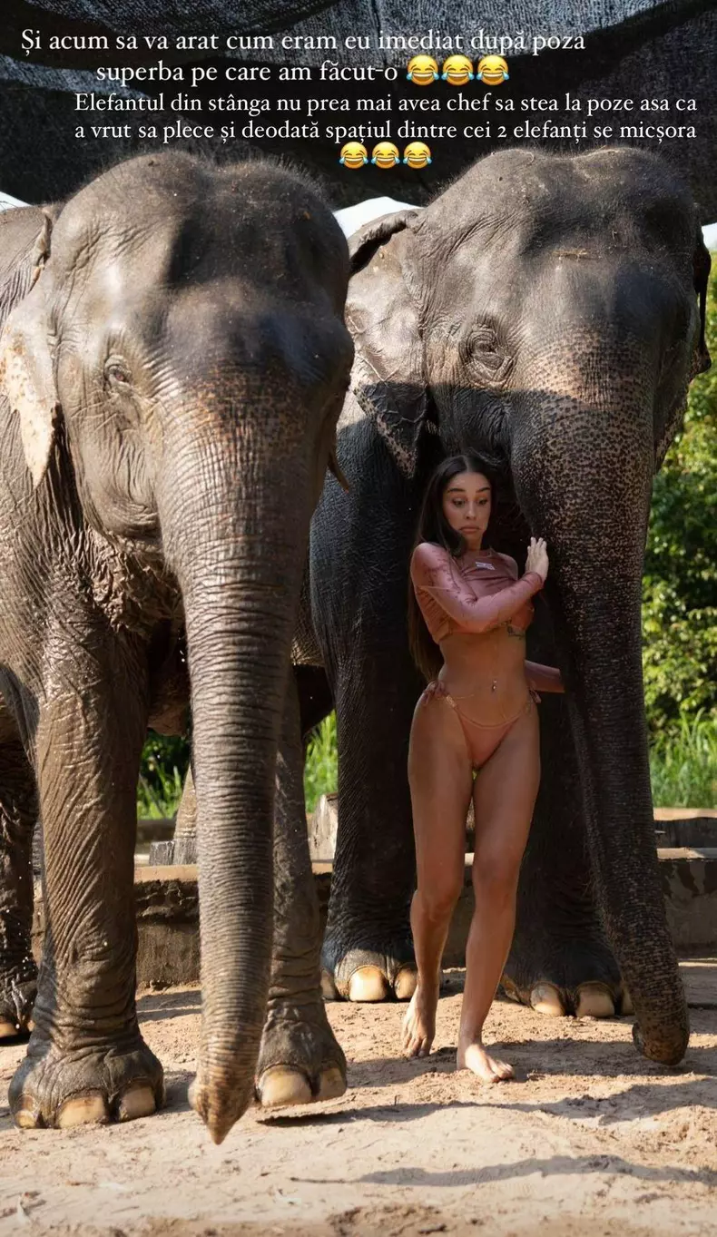 cristina-stefania-elefanti-5