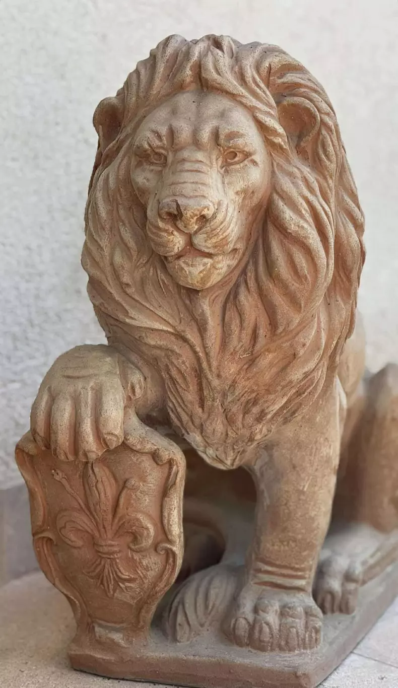 imagini casă vacanță Andreea Esca (22)