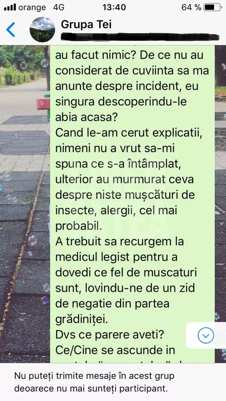 vlad rotaru, copil muscat gradinita Arad (11)