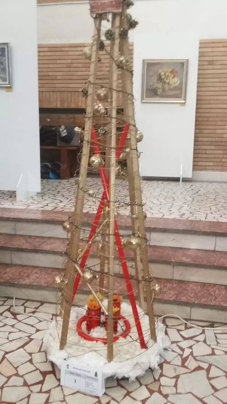 brazi ingineresti (72)
