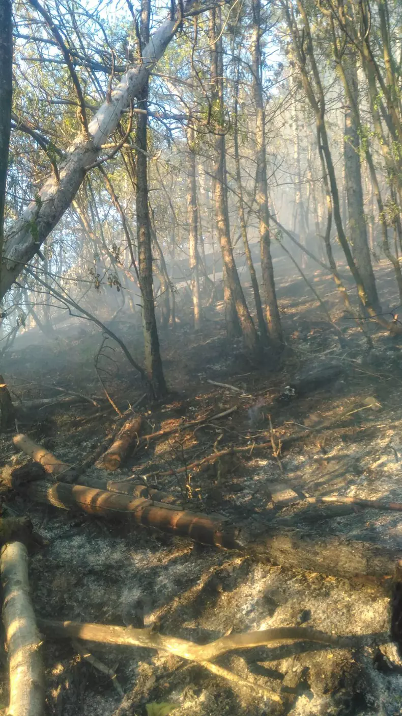 WhatsApp Image 2018-04-30 at 10.19.35