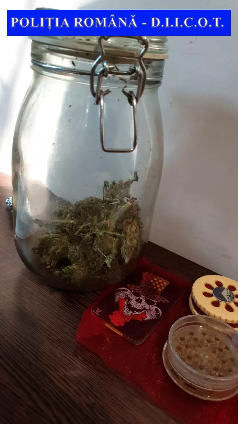 droguri plesu 6