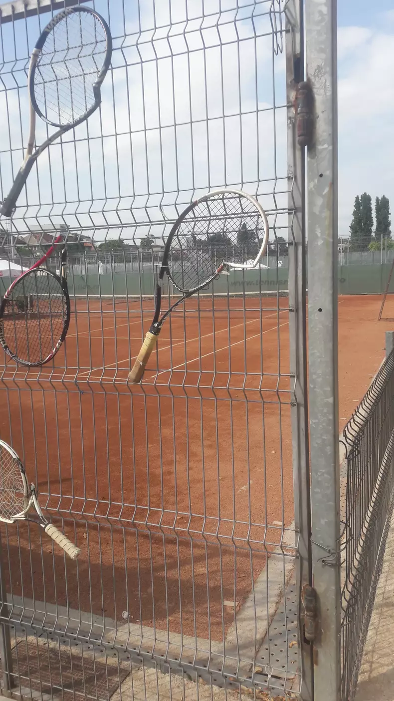 67943068_2407849416152017_4221561052166356992_n