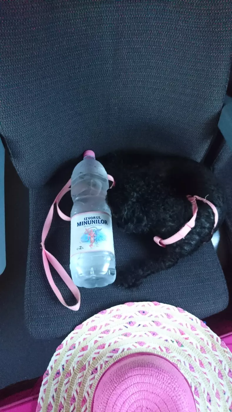 WhatsApp Image 2021-07-18 at 17.36.08 (1)