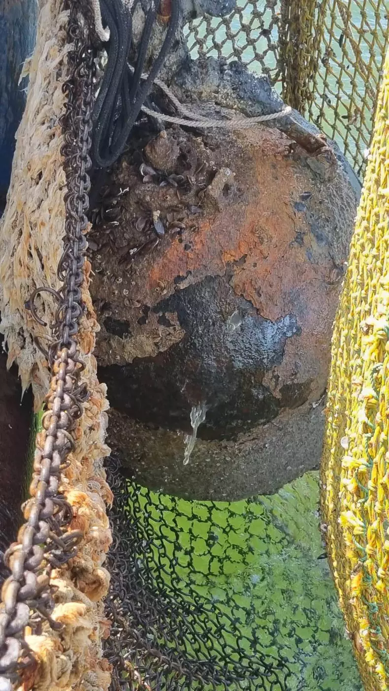 340693699276040844752570921271464613467405n