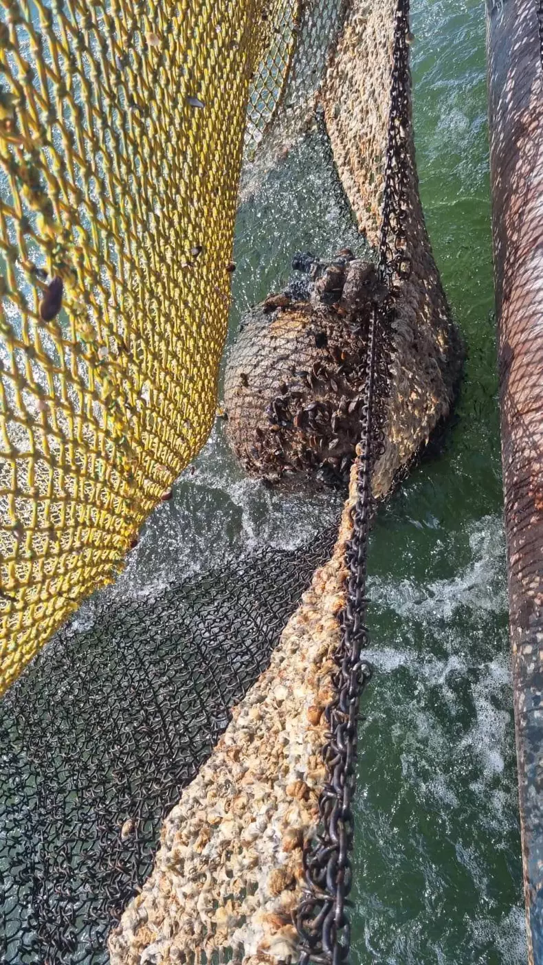 34077229035202145283006876018070720726066296n