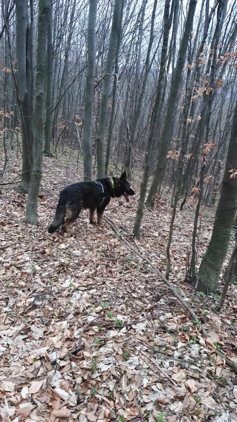 minor-copil-botosani-cautat-politie-3