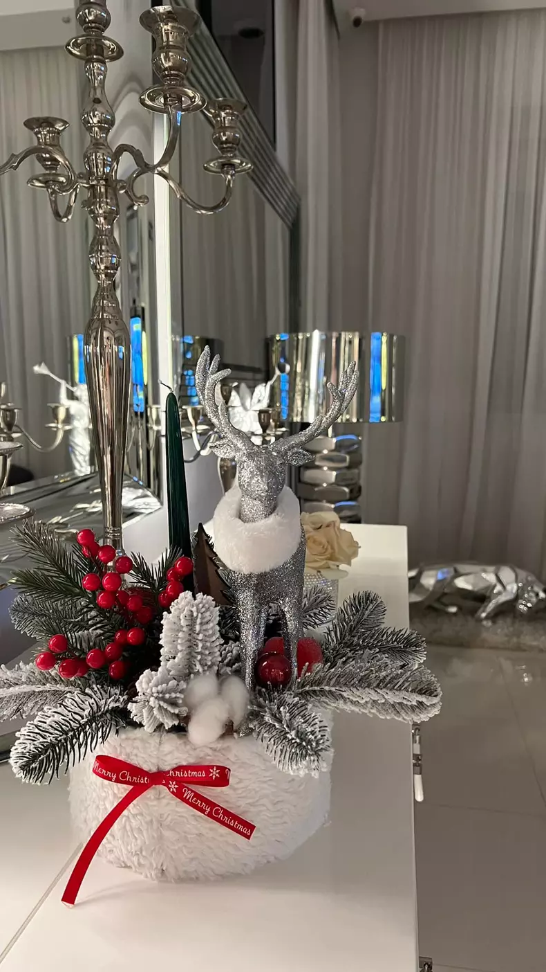 Oana Zăvoranu - casă decorată de Crăciun (3)