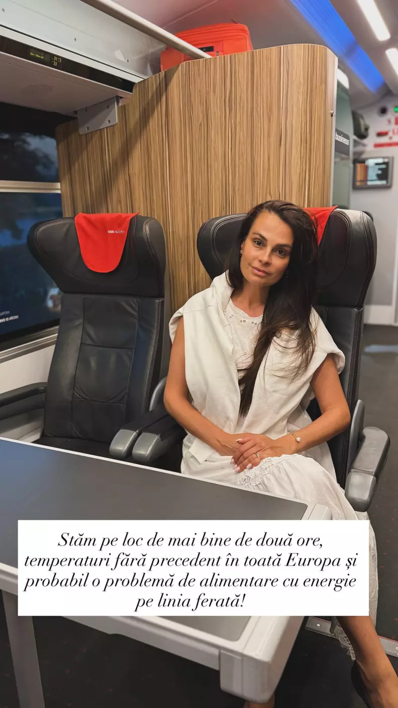 Anca serea tren