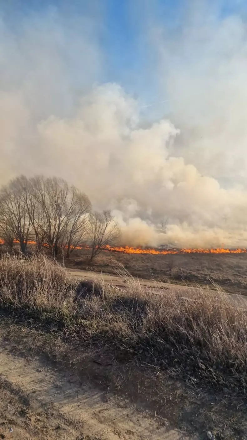 incendiu-vacaresti-5