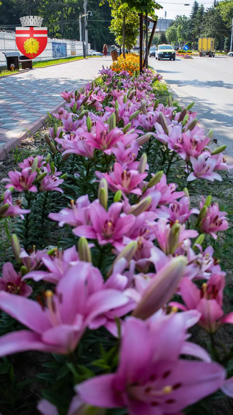 3554968546666701288111805818011435716252745n