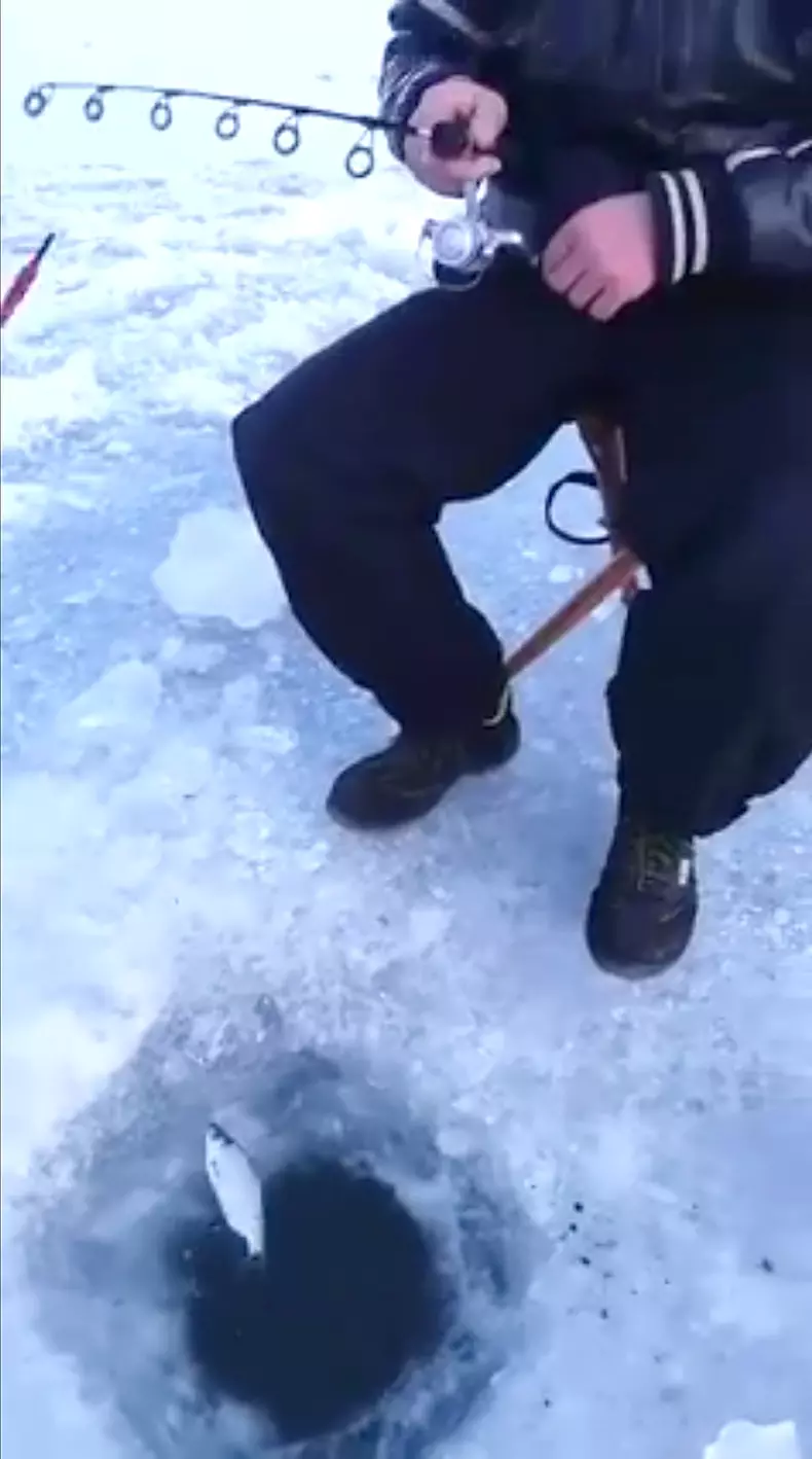 La CinCins pescuit copca2