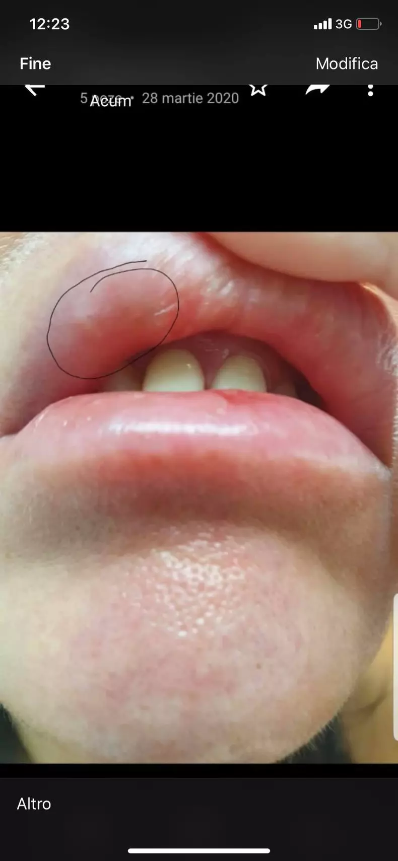 103157517_589234258371591_7979828862600262940_o