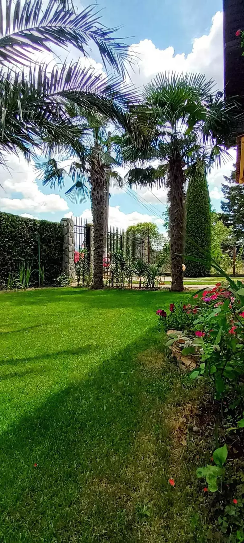 45020244381677314399387962403357469620205097n