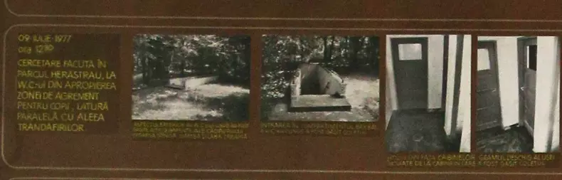caz Anca3
