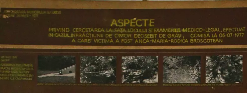 caz Anca4