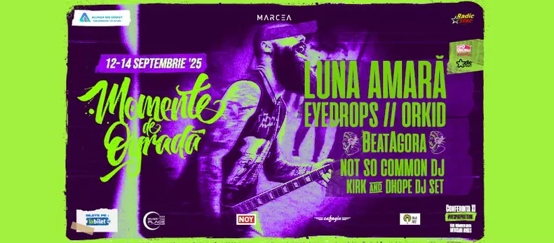 momente de ograda festival arges alin voica (6)