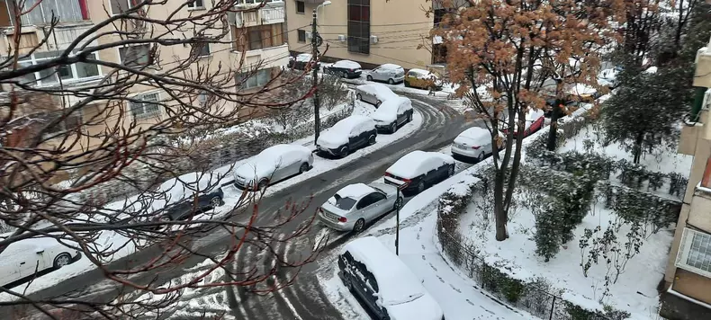 130742927_129786842113163_7479472329869814038_n