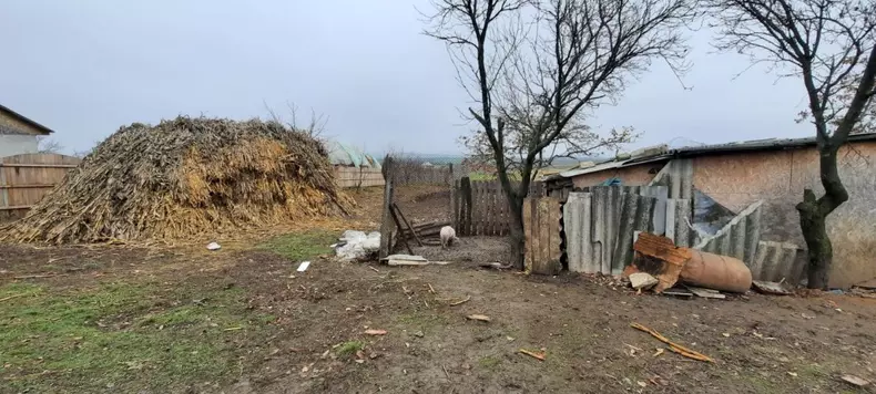 Familia copilei trăiește într-o casă de chirpici, în sărăcie lucie