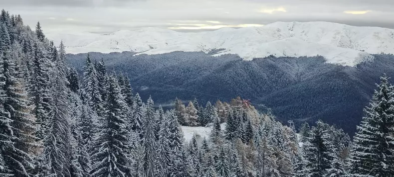 sinaia4-facebook-gondola-sinaia