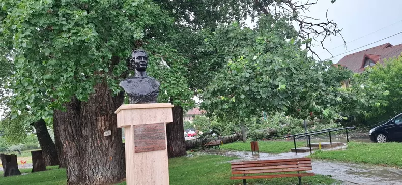 Un plop despre care a scris Mihai Eminescu, vechi de 150 de ani, s-a prăbușit din cauza furtunii (03)