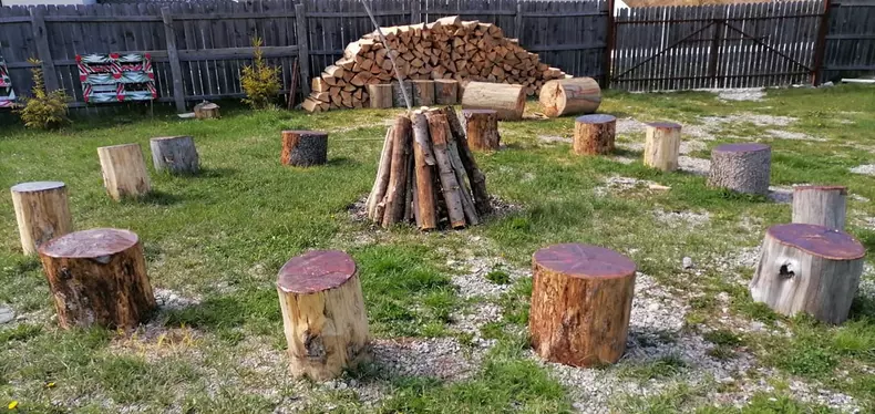 conacul monicai anghel 1