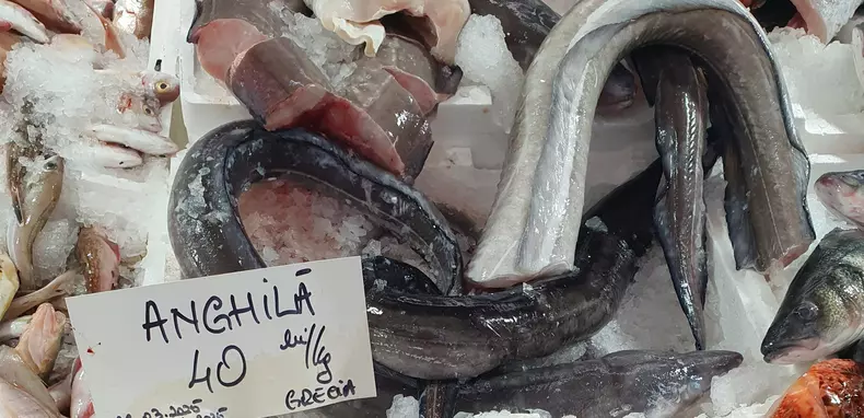 Tarabele din piața Obor sunt pline cu pește proaspăt. FOTO: Libertatea