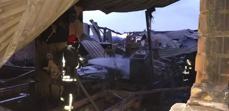 incendiu-hala-lemn-Timis5