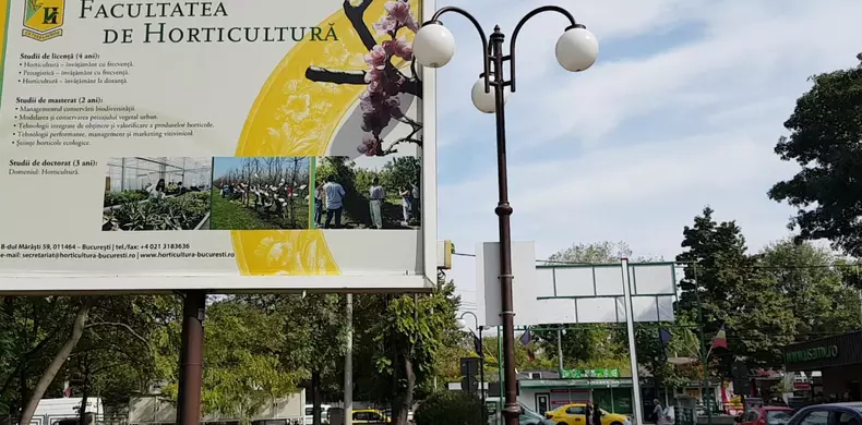 kiwi de romania facultatea de horticultura