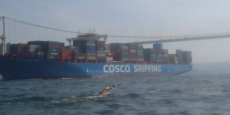 avram iancu bosfor 3