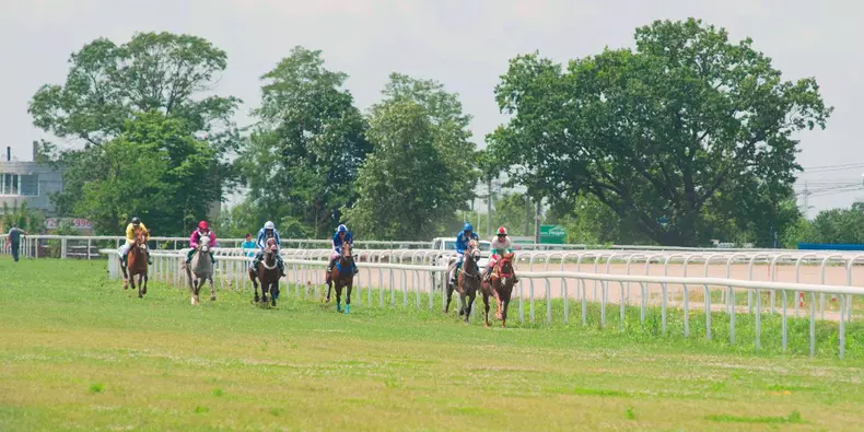 _ANG3235 in timpul cursei Wathba Stallions Cup - foto Daniel Angelescu