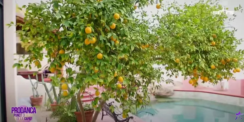 Anamaria Prodan - imagini casă Las Vegas (20)