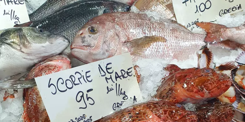 Tarabele din piața Obor sunt pline cu pește proaspăt. FOTO: Libertatea