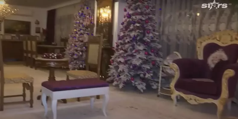 casa medana alin oprea 10