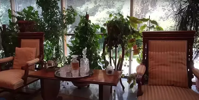 casa Monica Tatoiu (2)