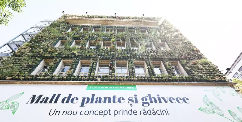 mall de plante bucuresti (34)