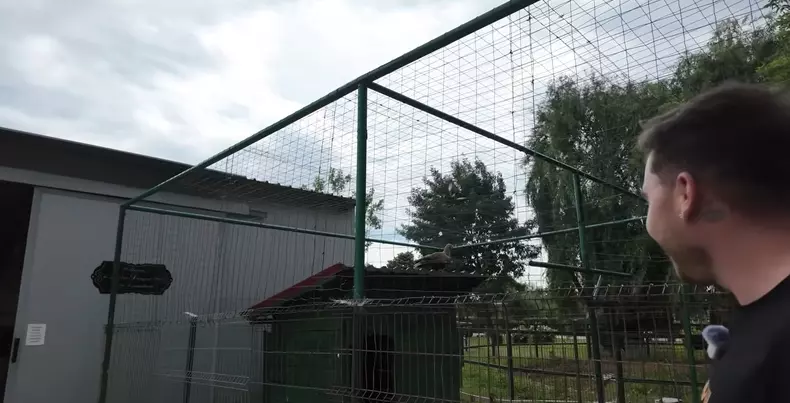 imagini casă Nuțu Cămătaru (28)