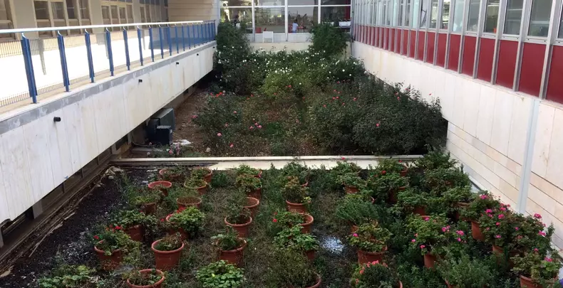 spital-pediatrie-alyn-gradina-interioara