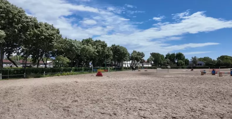 imagini casă Nuțu Cămătaru (35)