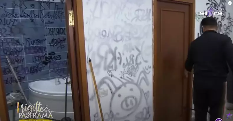 brigitte-pastrama-apartament-devastat-8