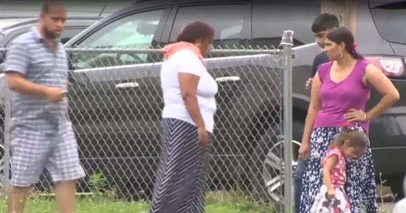 tiganii din California