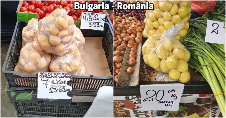 Cartofi noi Bulgaria vs Romania2