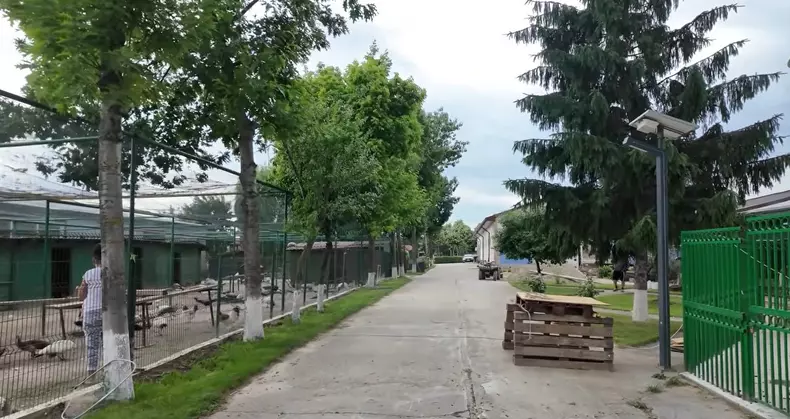 imagini casă Nuțu Cămătaru (22)